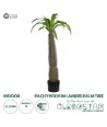 GloboStar® Artificial Garden PACHYPODIUM LAMEREI PALM TREE 20129 Τεχνητό Διακοσμητικό Φυτό Φοίνικας της Μαγαδασκάρης Υ105cm